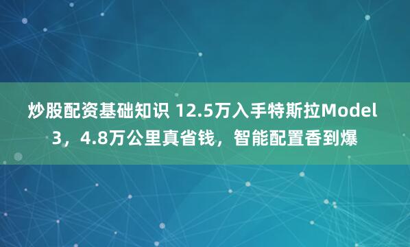 炒股配资基础知识 12.5万入手特斯拉Model 3，4.8万公里真省钱，智能配置香到爆