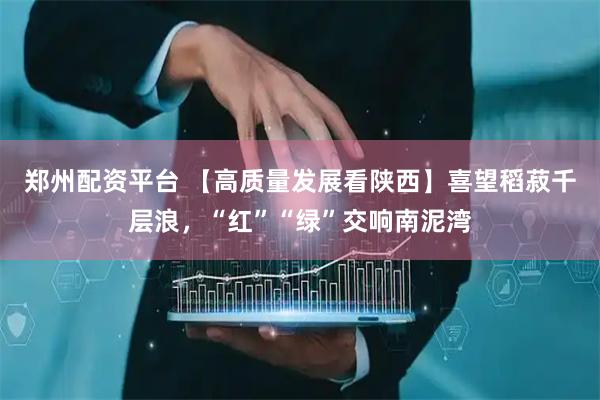 郑州配资平台 【高质量发展看陕西】喜望稻菽千层浪，“红”“绿”交响南泥湾