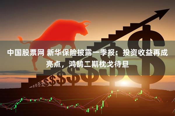 中国股票网 新华保险披露一季报：投资收益再成亮点，鸿鹄二期枕戈待旦