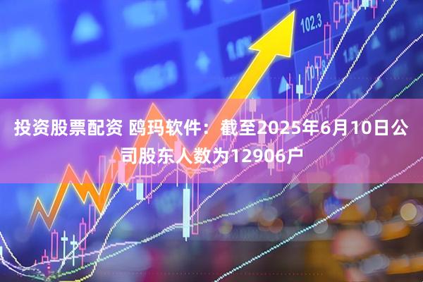 投资股票配资 鸥玛软件：截至2025年6月10日公司股东人数为12906户