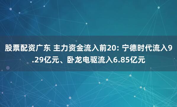 股票配资广东 主力资金流入前20: 宁德时代流入9.29亿元、卧龙电驱流入6.85亿元