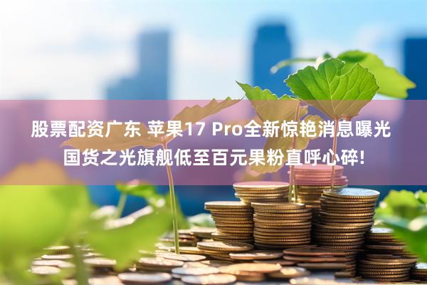 股票配资广东 苹果17 Pro全新惊艳消息曝光 国货之光旗舰低至百元果粉直呼心碎!