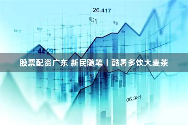 股票配资广东 新民随笔丨酷暑多饮大麦茶