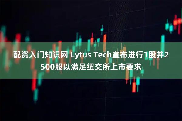配资入门知识网 Lytus Tech宣布进行1股并2500股以满足纽交所上市要求