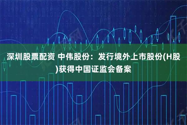 深圳股票配资 中伟股份：发行境外上市股份(H股)获得中国证监会备案