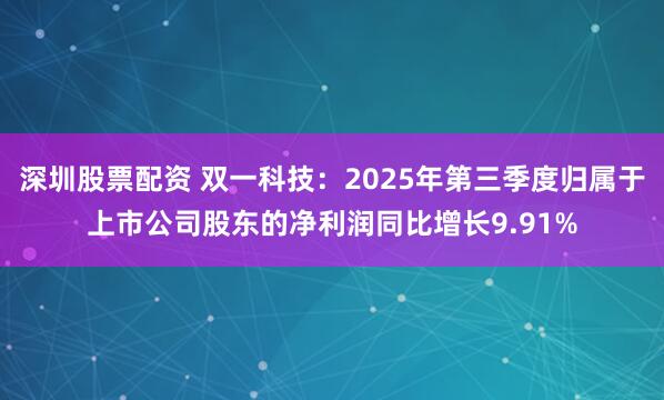 深圳股票配资 双一科技：2025年第三季度归属于上市公司股东的净利润同比增长9.91%