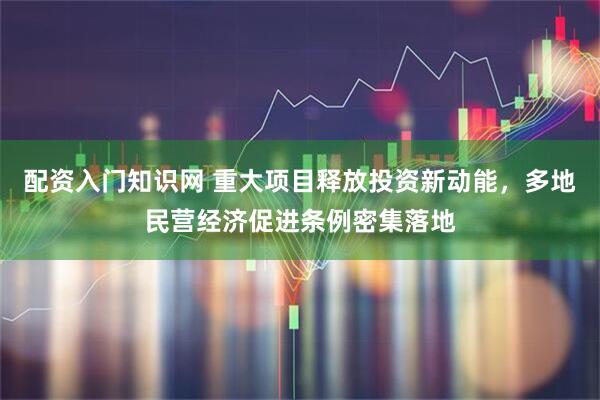 配资入门知识网 重大项目释放投资新动能，多地民营经济促进条例密集落地